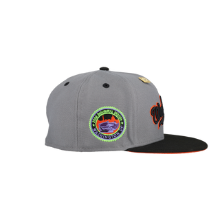 Washington Nationals 2023 Scaredy Cat Collection Inaugural Season Fitted Hat