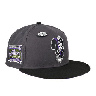 Albany Polecats Hazy Collection Hometown Patch Fitted Hat