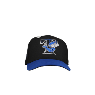 Toronto Blue Jays 30th Season Black/Black Metallic 59Fifty Fitted Hat