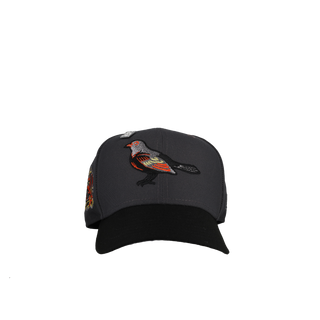 Baltimore Orioles Graphite/Black 50th Season Metallic 59Fifty Fitted Hat