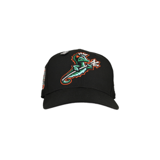 Norfolk Tides X Baltimore Orioles Black Metallic 59Fifty Fitted Hat