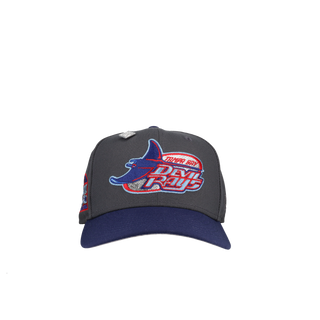 Tampa Bay Rays Tropicana Field Graphite/Navy Metallic 59Fifty Fitted Hat, back view