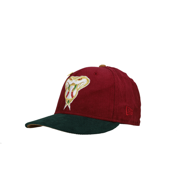 Arizona Diamondbacks 