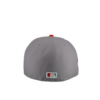 Houston Astros Cacti Park Grey 59Fifty Fitted Hat