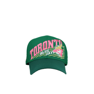 Toronto Blue Jays 30th Anniversary Green/Pink Script 59Fifty Fitted Hat