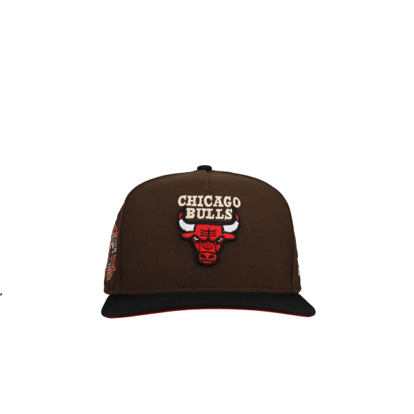Chicago Bulls 20th Anniversary Brown/Black 9Fifty A Frame Snapback Hat