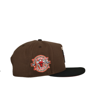 Chicago Bulls 20th Anniversary Brown/Black 9Fifty A Frame Snapback Hat