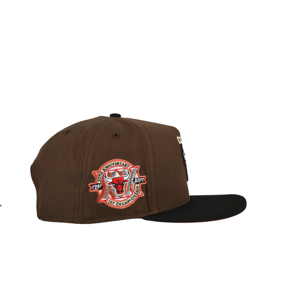 Chicago Bulls 20th Anniversary Brown/Black 9Fifty A Frame Snapback Hat