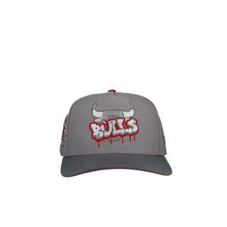 Chicago Bulls 1996 Champions Grey/Red 9Fifty A Frame Snapback Hat