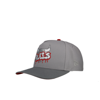 Chicago Bulls 1996 Champions Grey/Red 9Fifty A Frame Snapback Hat