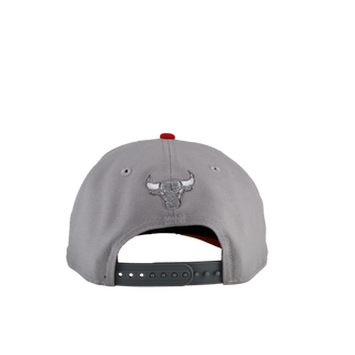 Chicago Bulls 1996 Champions Grey/Red 9Fifty A Frame Snapback Hat