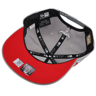 Chicago Bulls 1996 Champions Grey/Red 9Fifty A Frame Snapback Hat