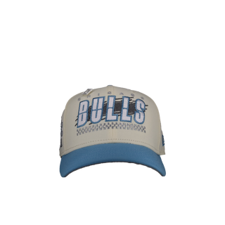 Chicago Bulls 1996 NBA Champions Chrome/Blue Metallic 59Fifty Fitted Hat