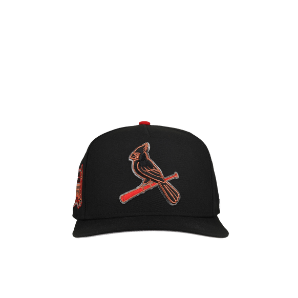 St. Louis Cardinals Busch Stadium Black Metallics 9Fifty A Frame Snapback Hat