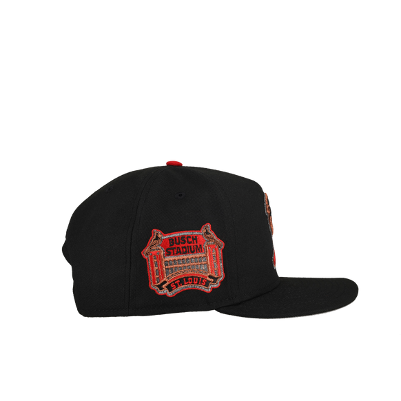 St. Louis Cardinals Busch Stadium Black Metallics 9Fifty A Frame Snapback Hat
