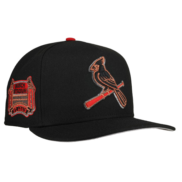 St. Louis Cardinals Busch Stadium Black Metallics 9Fifty A Frame Snapback Hat