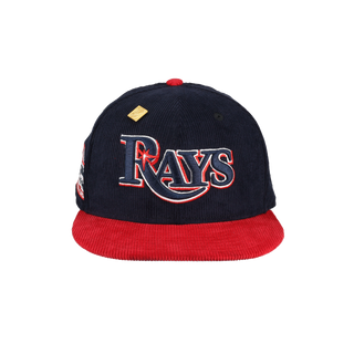 Tampa Bay Rays Act Accordingly Collection Tropicana Field Patch Fitted Hat