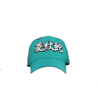 Arizona Diamondbacks 1998 Inaugural Season Teal Kanji 59Fifty Fitted Hat
