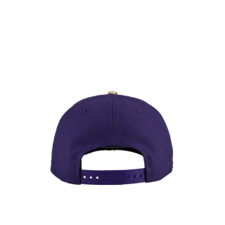 Arizona Diamondbacks 2011 All Star Game Purple Camo Metallic 9Fifty A Frame Snapback Hat
