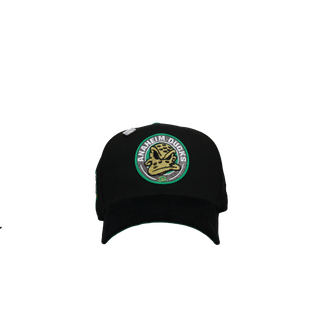 Anaheim Mighty Ducks 2002 All Star Game Black/Green 59Fifty Fitted Hat