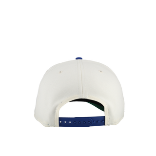 New York Mets 1962 Team Color 9Fifty A Frame Snapback Hat (Green Brim) Version 2