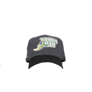 Tampa Bay Rays 10th Season Metallic Graphite 59Fifty Fitted Hat