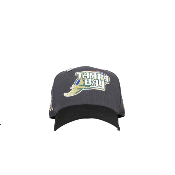 Tampa Bay Rays 10th Season Metallic Graphite 59Fifty Fitted Hat