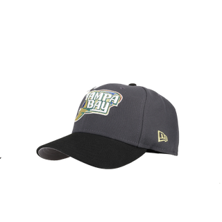 Tampa Bay Rays 10th Season Metallic Graphite 59Fifty Fitted Hat