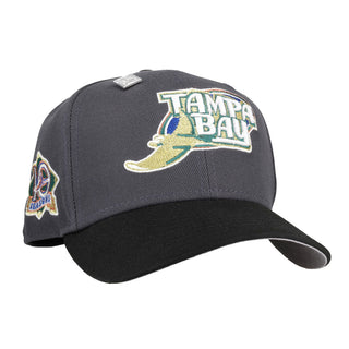 Tampa Bay Rays 10th Season Metallic Graphite 59Fifty Fitted Hat