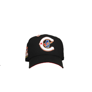 Chicago Cubs Wrigley Field Clark The Bear 59Fifty Fitted Hat
