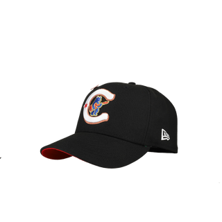 Chicago Cubs Wrigley Field Clark The Bear 59Fifty Fitted Hat