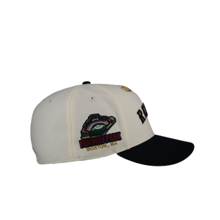 Boston Red Sox Fenway Park Chrome Gold Metallics 59Fifty Fitted Hat