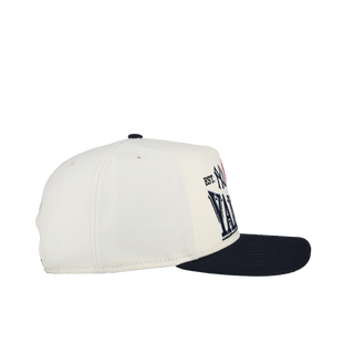 New York Yankees 1903 Team Color 9Fifty A Frame Snapback Hat (Green Brim) Version 2