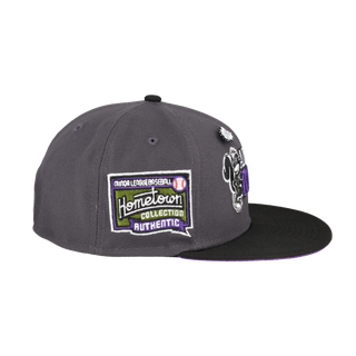 Albany Polecats Hazy Collection Script Hometown Patch Fitted Hat