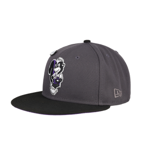 Albany Polecats Hazy Collection Hometown Patch Fitted Hat